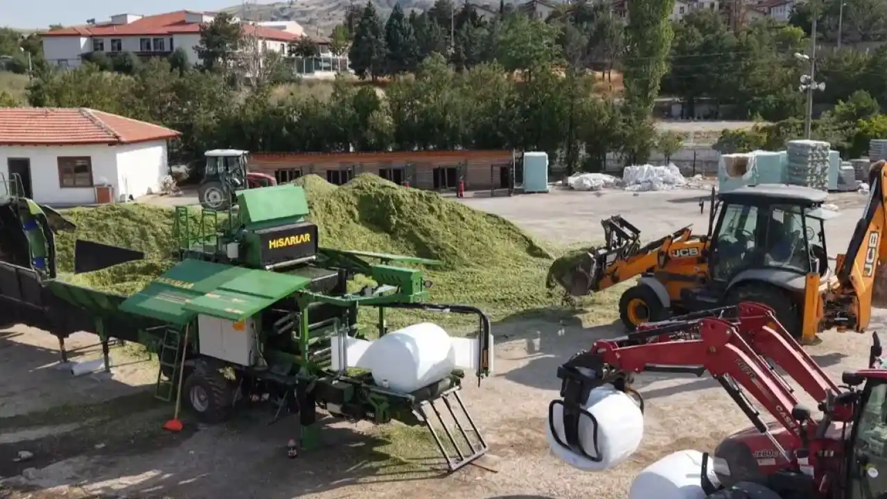 Ankara’da hayvan yetiştiricilerine silaj desteği