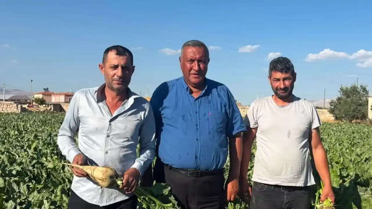 Ömer Fethi Gürer pancar üreticilerinden beklentilerini dinledi