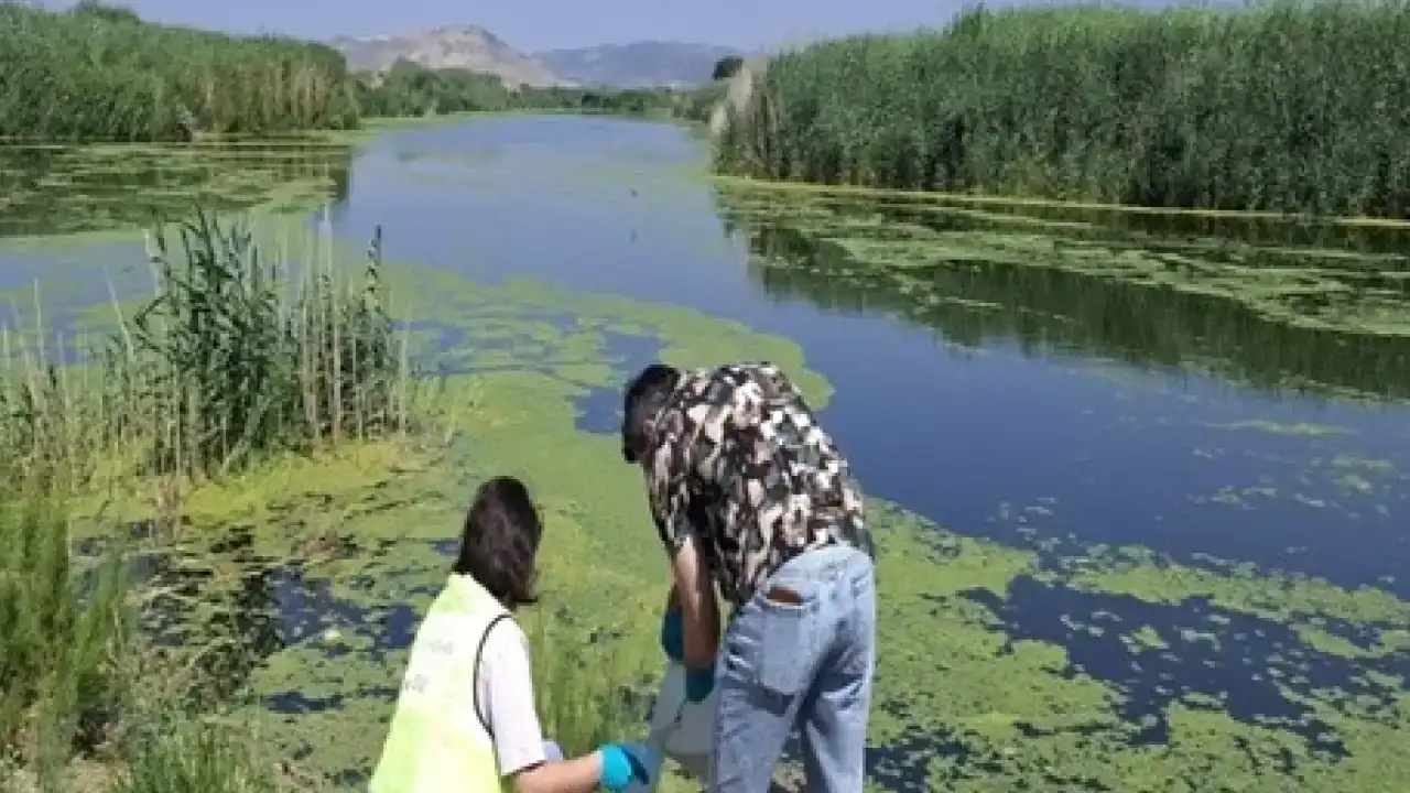 İzmir ve Manisa’da Gediz Nehri kirliliği arttı