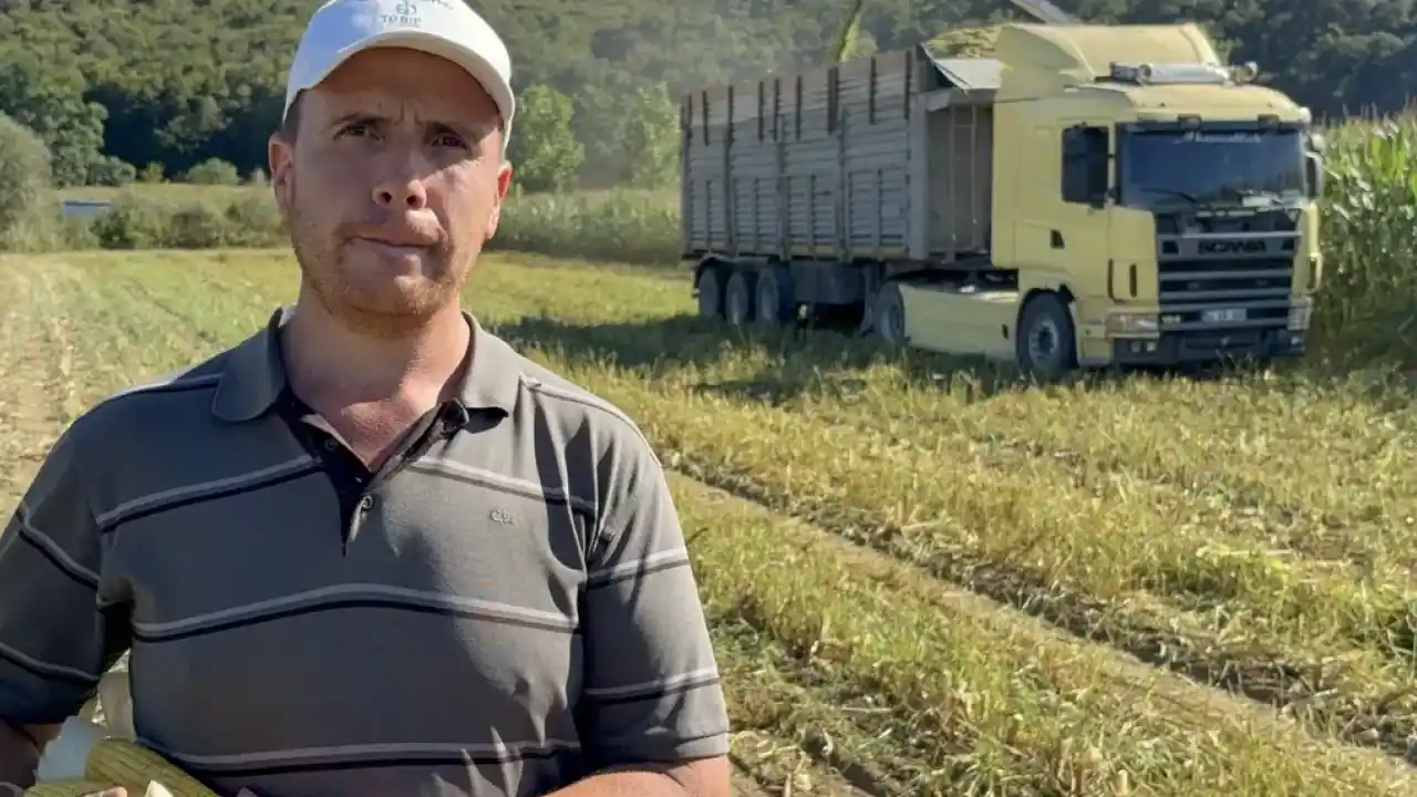 Kocaeli tarımında çift hasat dönemi