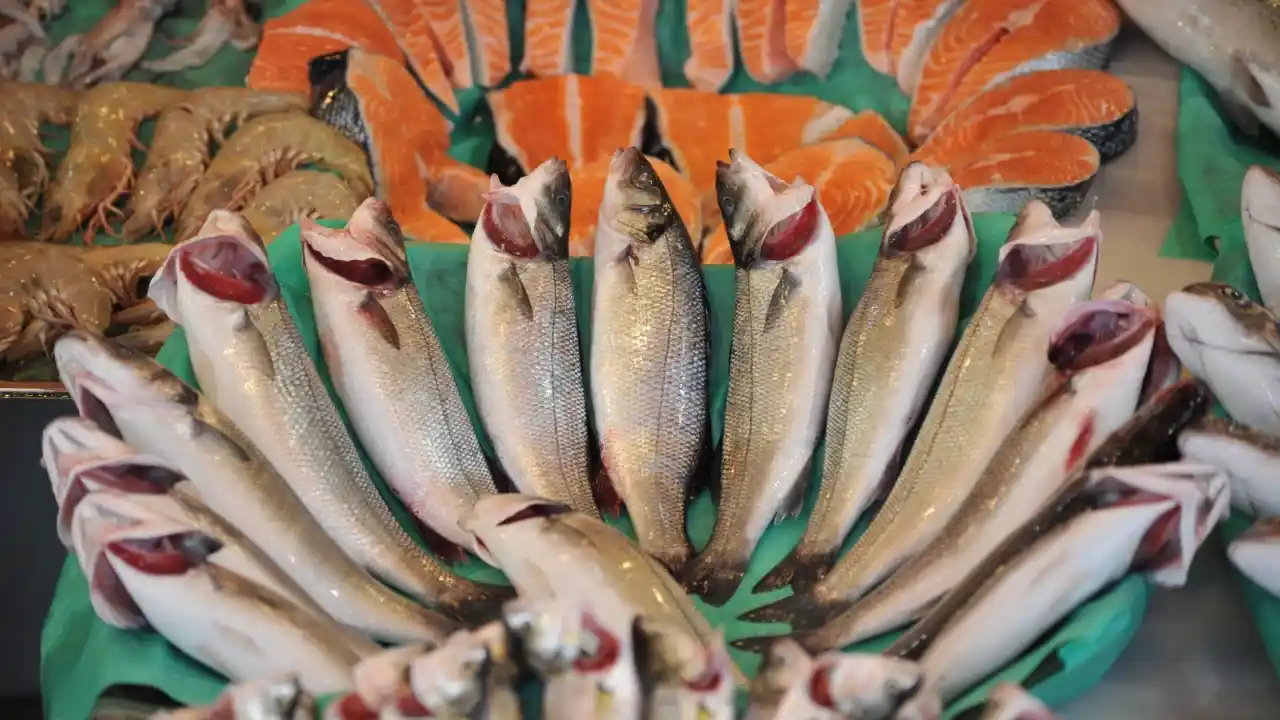 Su ürünleri sektörü Future Fish Eurasia’da buluşuyor