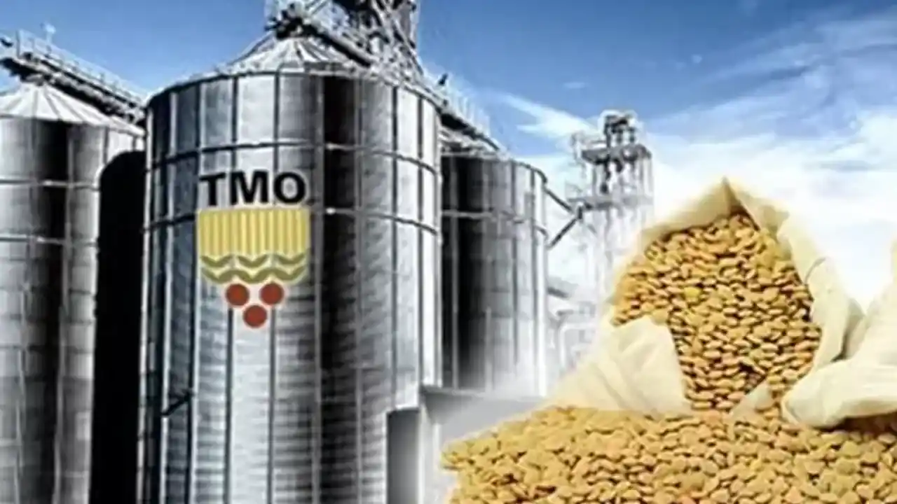 TMO’dan üreticilere 6,3 milyar liralık ödeme